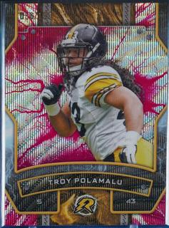 Troy Polamalu