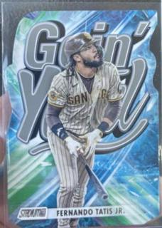Fernando Tatis Jr.