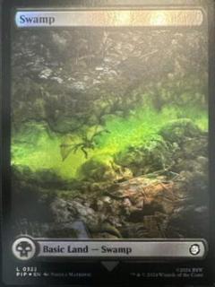 Swamp