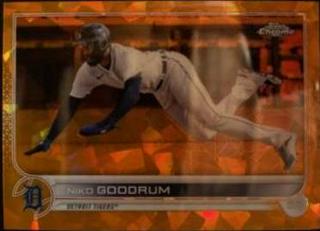 Niko Goodrum