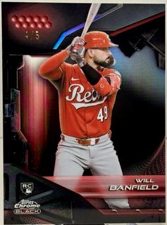 Will Banfield