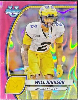Will Johnson