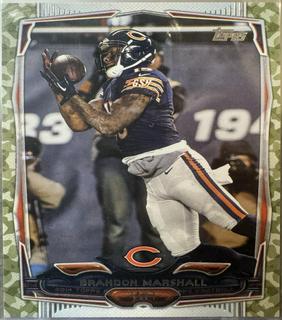 Brandon Marshall