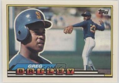 Greg Briley #247