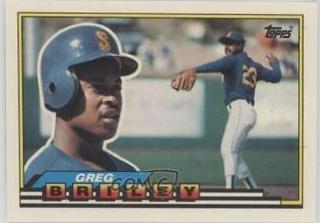 Greg Briley