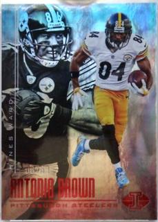 Antonio Brown, Hines Ward