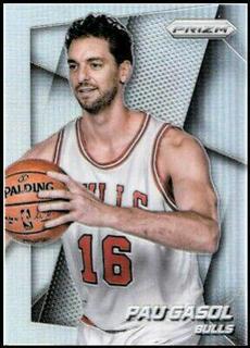 Pau Gasol