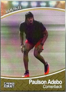 Paulson Adebo