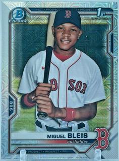 Miguel Bleis