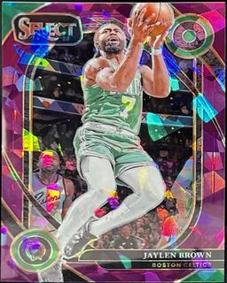 Jaylen Brown