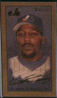 Vladimir Guerrero Sr.