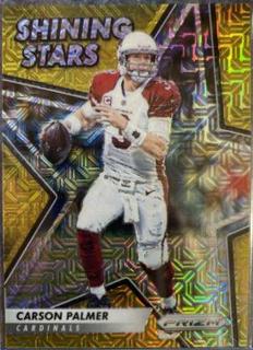 Carson Palmer
