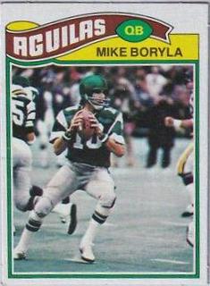 Mike Boryla
