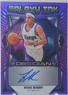 Mike Bibby