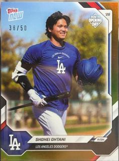 Shohei Ohtani