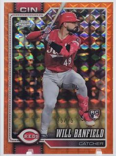 Will Banfield