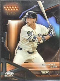 Brooks Lee
