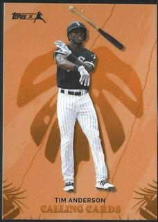Tim Anderson