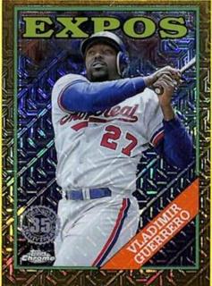 Vladimir Guerrero