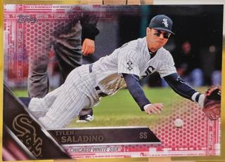 Tyler Saladino