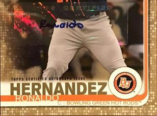 Ronaldo Hernandez