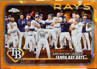 Tampa Bay Rays