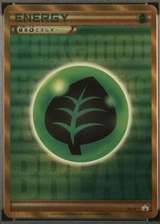 Grass Energy