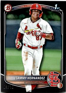 Sammy Hernandez