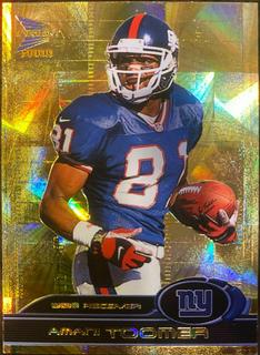 Amani Toomer