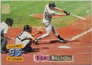 Tim Salmon
