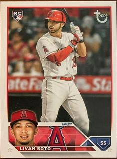 Livan Soto
