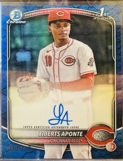 Liberts Aponte