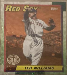 Ted Williams