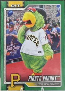 Pirate Parrot Pittsburgh Pirates