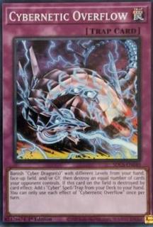 Cybernetic Overflow SDCS-EN040