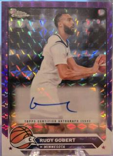 Rudy Gobert