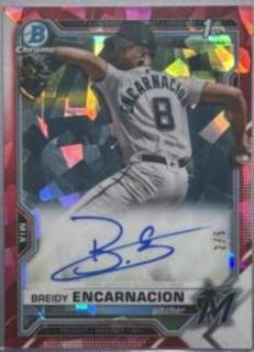 Breidy Encarnacion