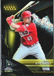 Sal Stewart