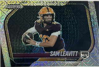Sam Leavitt