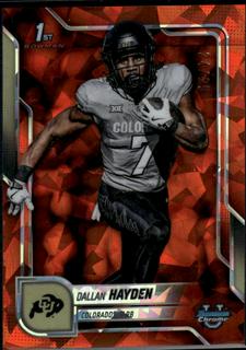 Dallan Hayden
