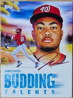 James Wood
