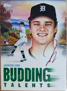 Jackson Jobe
