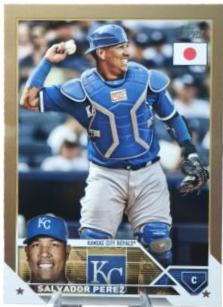 Salvador Perez