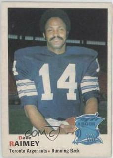 Dave Raimey