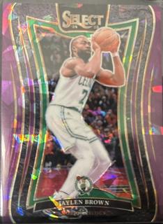 Jaylen Brown