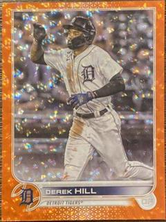 Derek Hill