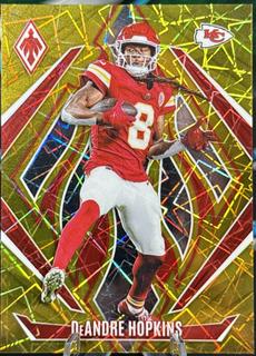 DeAndre Hopkins