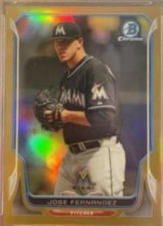 Jose Fernandez