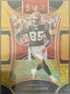 Chad Johnson