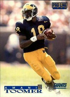 Amani Toomer